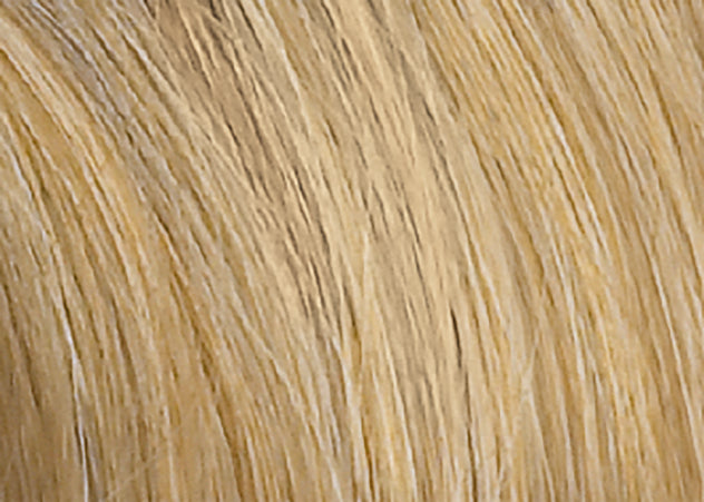 Nuance Deluxe by High Power ellen wille Echtes Haar (Human Hair)